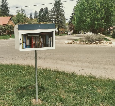 a neighborhood book exchange on the corner of a neighborhood intersection